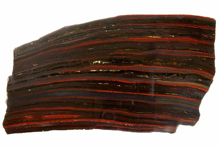 Polished Tiger Iron Stromatolite - Billion Years #129430